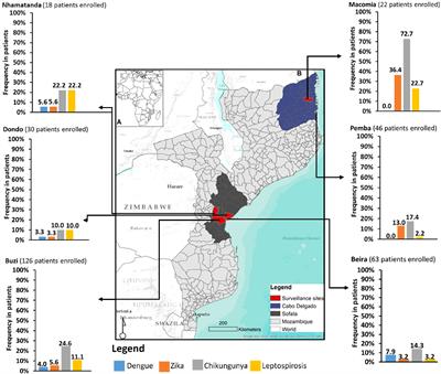 Surveillance for arboviruses and leptospirosis among non-malarial acute febrile illness outpatients in areas affected by Cyclones Idai and Kenneth in Mozambique